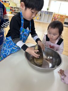 IMG_6561