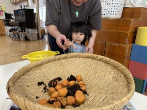 食育　梅干し作り②