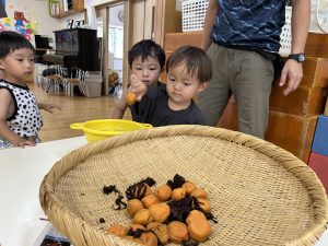 IMG_7554