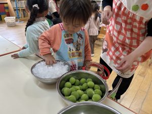 IMG_0218
