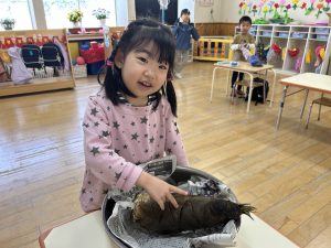 食育　筍の皮むき