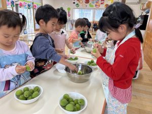 食育　梅シロップ作り
